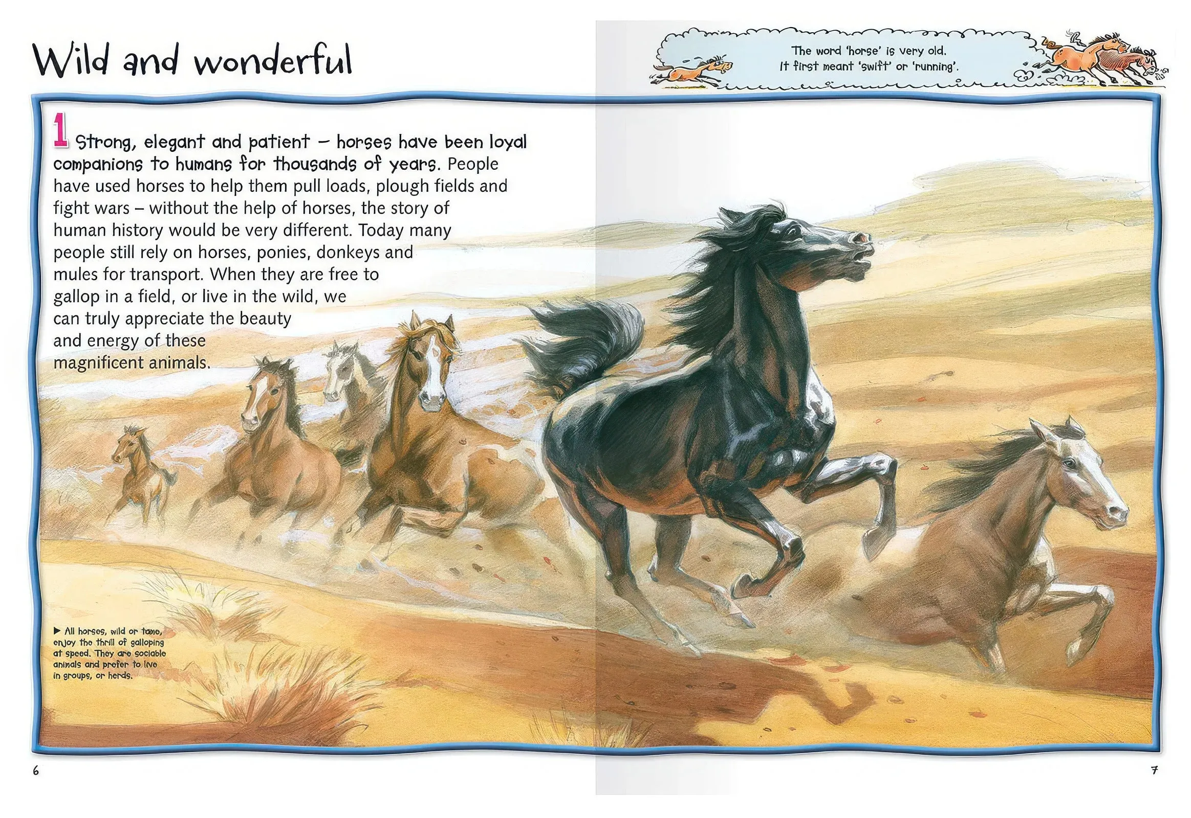 100 Facts Horses & Ponies Softback Book