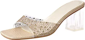 richealnini Clear Heels Slides Sandals Transparent Block Heel Slip On Heeled Mules